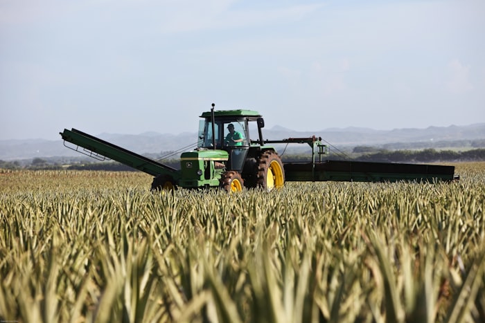 Traktor auf dem Feld